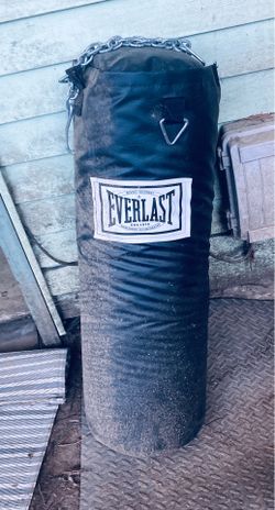 Everlast 100lb  Heavy Punching Bag w/ Chains