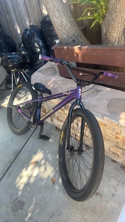 Mafia Medusa 26”