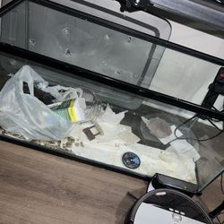 Reptile/Fish Tanks Prices In Description 