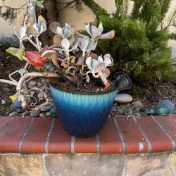 Various Size Planters For Sale!