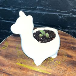 Llama Ceramic Planter