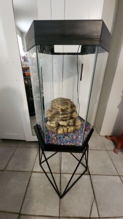 20-Gallon Hexagon and Stand