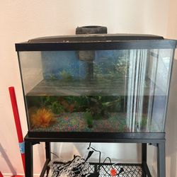 Fish Tank