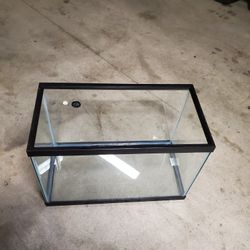 Fish Tank