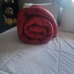 Coleman Sleeping Bag