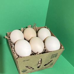 Fresh Eating Eggs