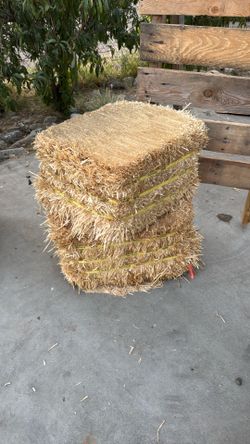HAY BAYS