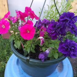 Mix flowers basket