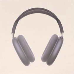 Airpod Maxes