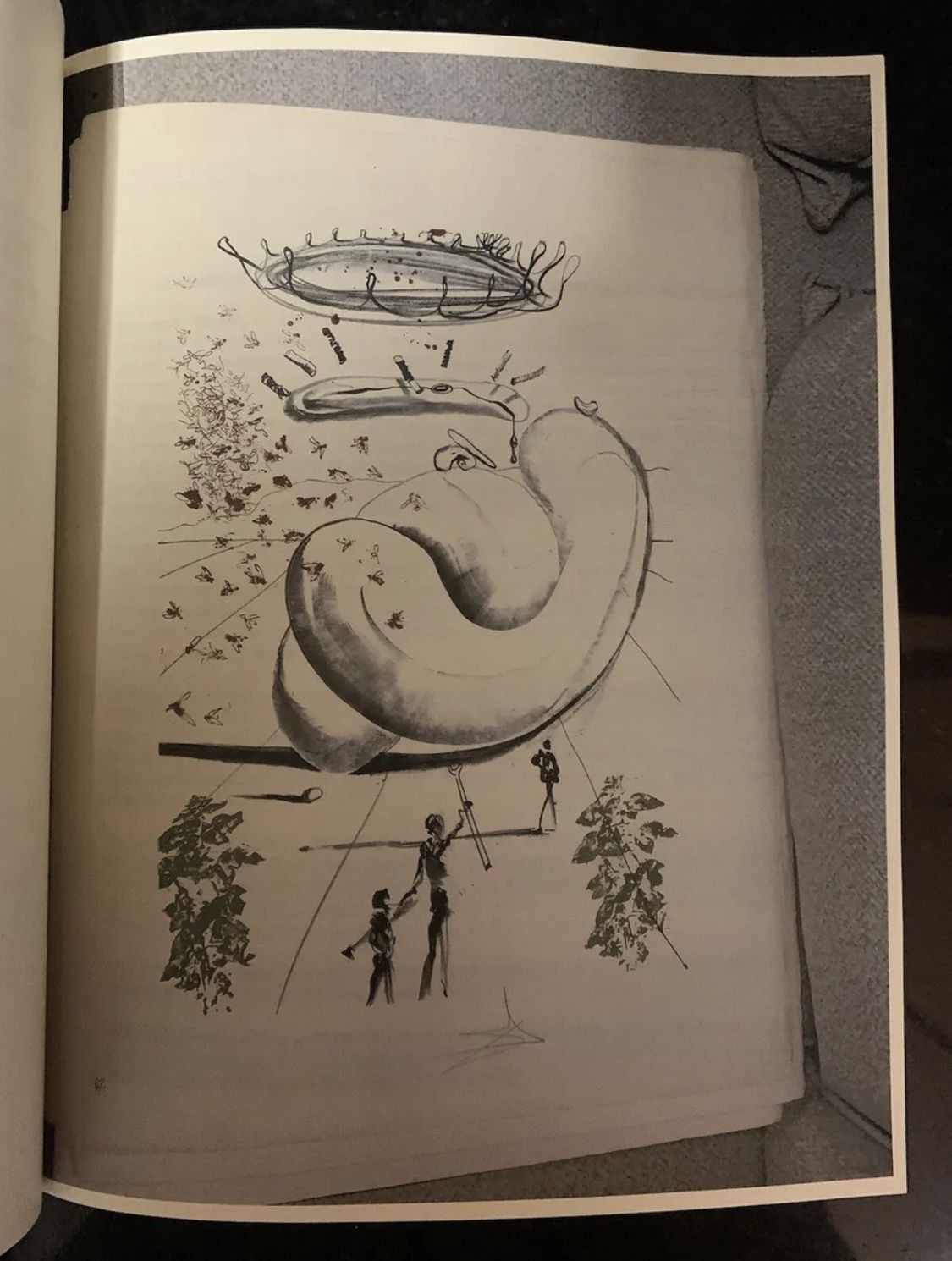 Salvador Dali Personally Signed Lithograph “Moscas” Colibri Suite AUTHENTICATED! Collectibles & Art