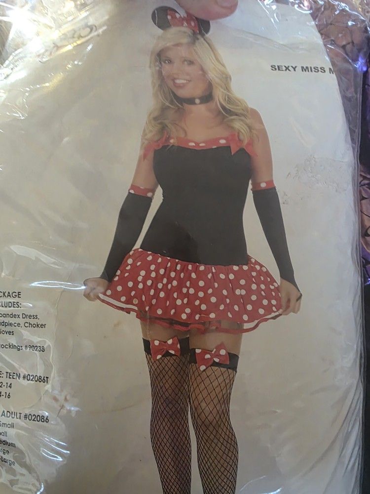 Minnie Mouse Accessories Only  One Size Ears, Thighs Highs And Arm Sleeve 