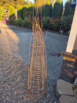 Tomato cages