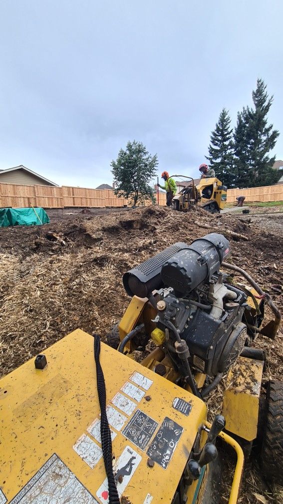 Stump Removal Made Easy