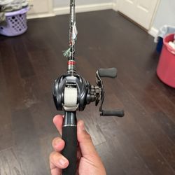Daiwa Steez AIITW
