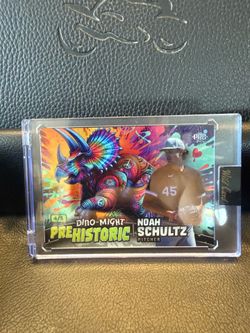 Noah Schultz wild card prehistoric 4/5