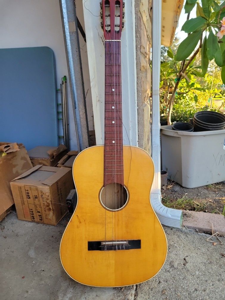Acoustic 6 String Guitar