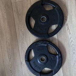Weights (45 Lbs Each)