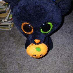 Shadow The Cat Shhhh!