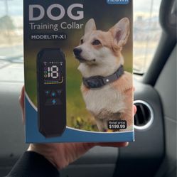 Dog Training Collar