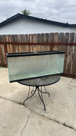 50 gallon tank