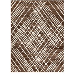 8/10 Brand New Brown  Rug 