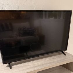 45 Inch TV 