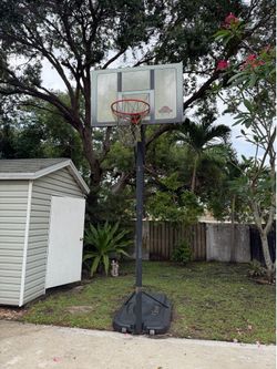 Basketball Hoop Portable System with Backboard, Durable Rim