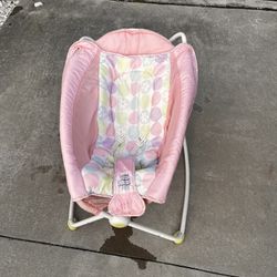 Baby Bouncer