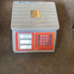 LB\KG Scale 