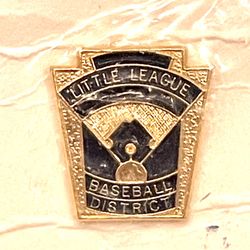 New Little League District Pin