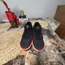 Jordan Tatum 1’s Zoo Size 9.5M