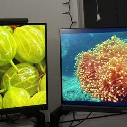 Dual Monitors With Arms