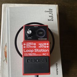 loop station pedal