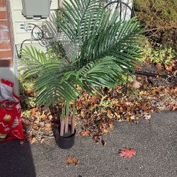 36” Tall Faux Palm 