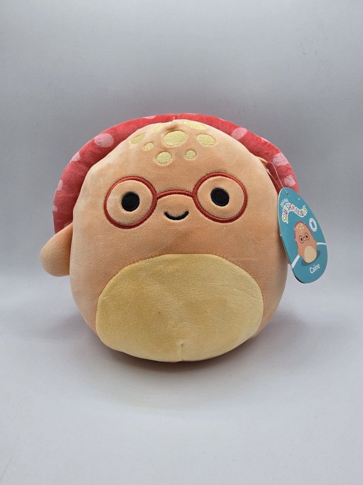 Squishmallows 'CAIN' The Turtle 8"