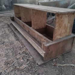 Chicken Nest 