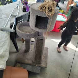 Cat Scratcher 