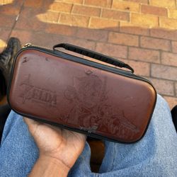 Zelda Switch Case