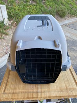 Dog/pet carrier
