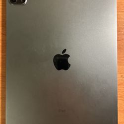 IPad Pro 2023 11.25” Display 