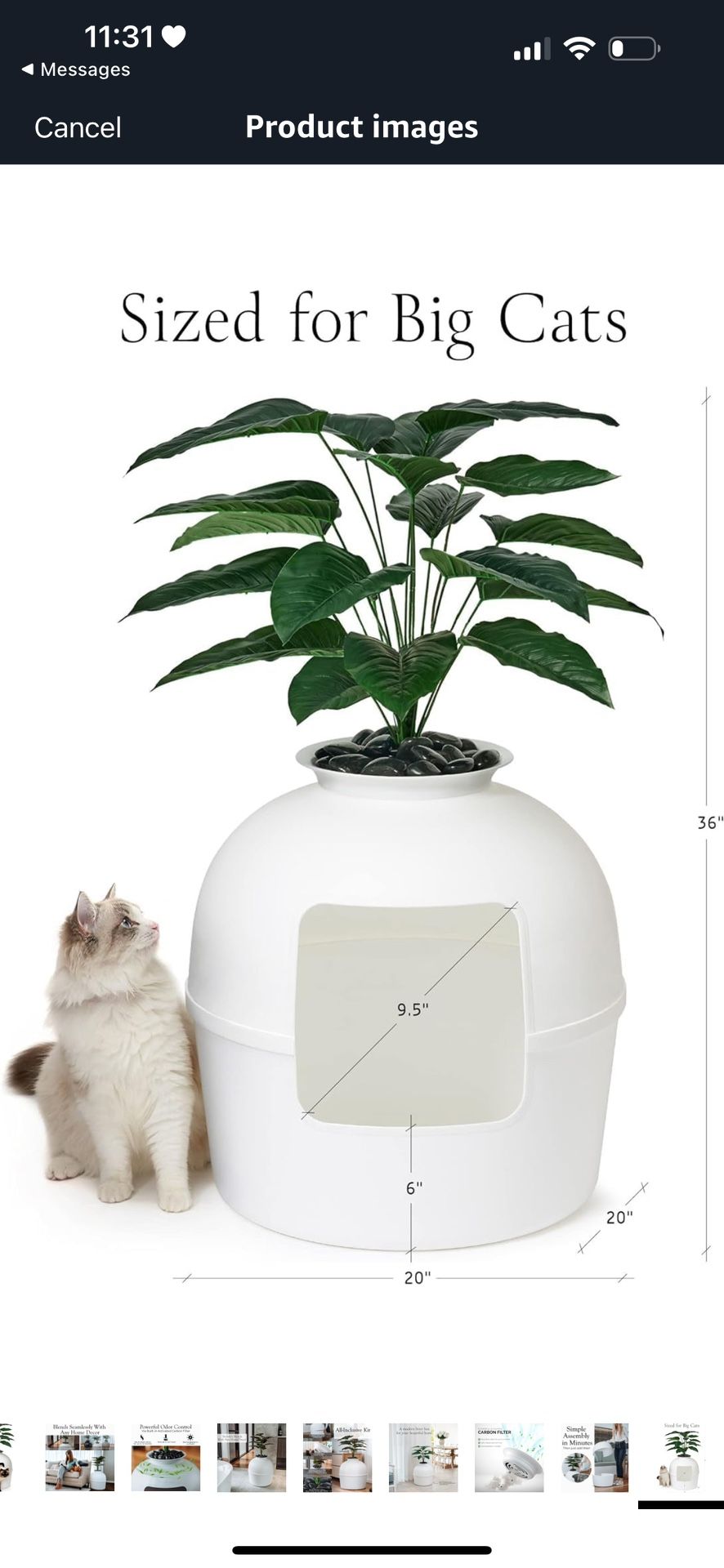 Cat Litter Box