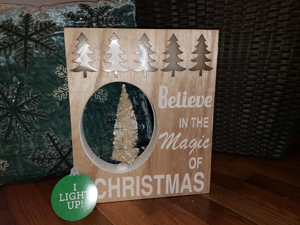 Light up Christmas Decor