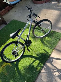 Women’s Roadmaster Mountain Bike Silver