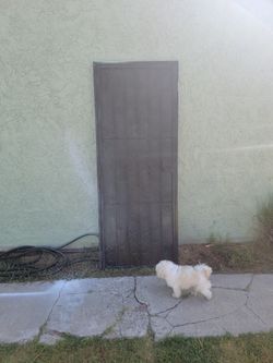 Iron Work Door