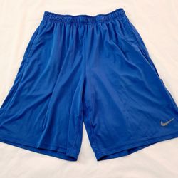 Nike Dri Fit Shorts