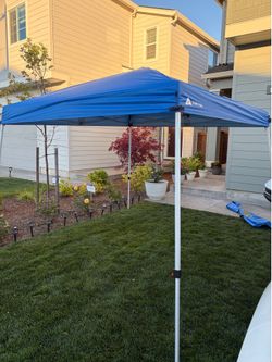 Canopy Tent, 10x10 Ft