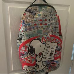 Sprayground ground