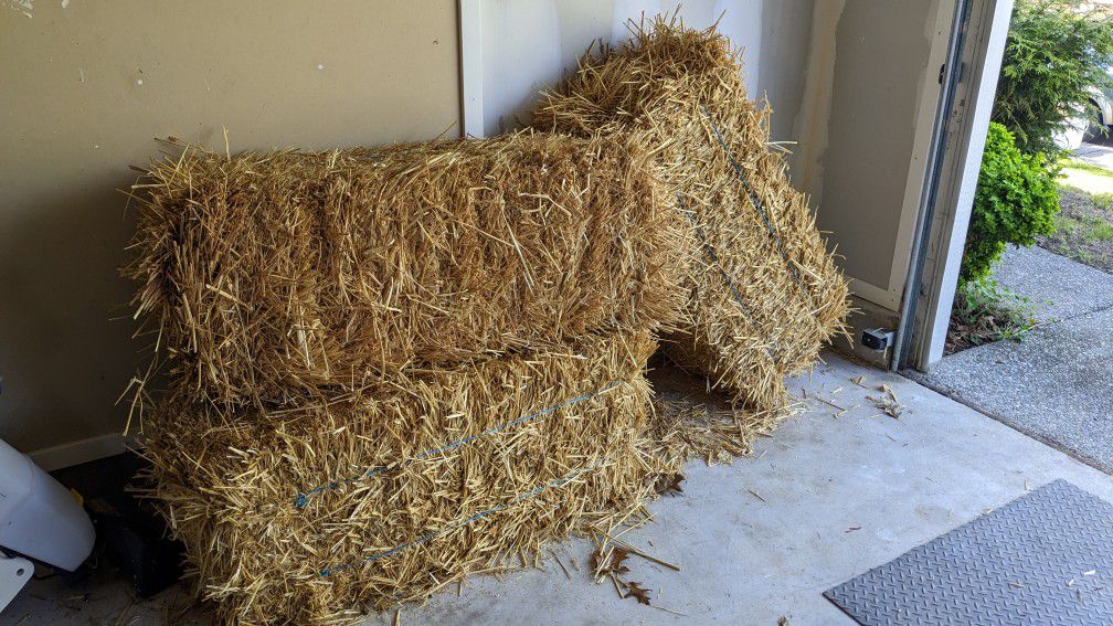 Free Bales Of Straw, in Anacortes