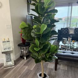 Pretty Artificial Plant 6 Ft Tall  Fig Tree ! Brand New  