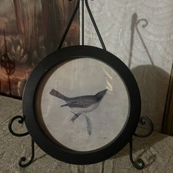 Solo El Cuadro No Incluye La Base